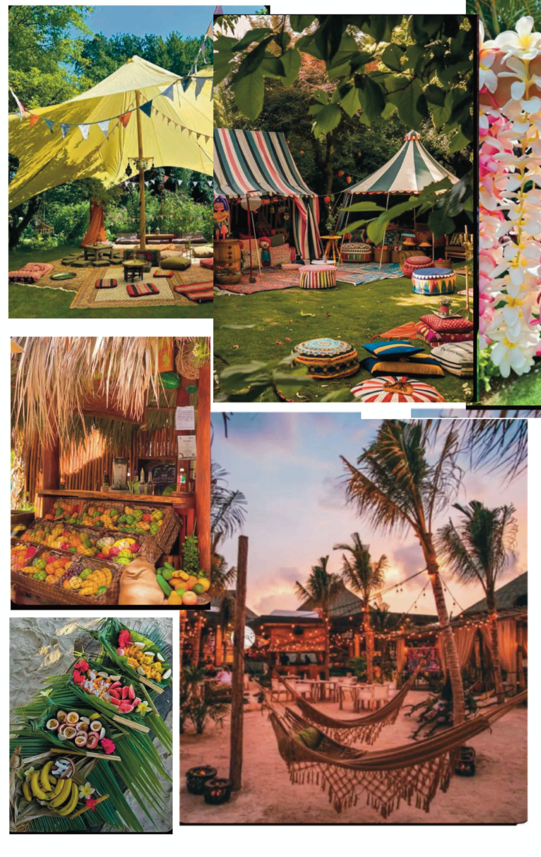 Mood_Board_Pabu_0.jpg|280